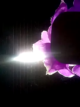 Ridick2025 online show from 10.08.25