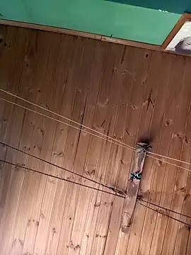 Ridick2025 online show from 11.15.25