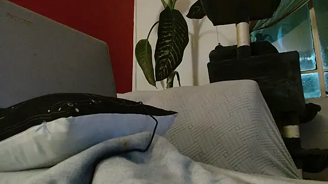 Tulindabonny online show from 03.06.26