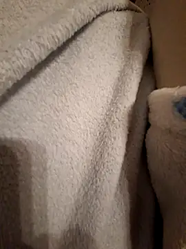 Pegasus9 online show from 02.21.26