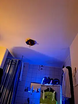 a7ex online show from 12.15.24