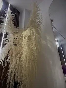 Snapshot of Anita-vega chatting on 12.19.25 Anita-vega online show from 12.19.25