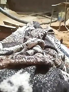 Snapshot of ParousFlow chatting on 10.11.25 ParousFlow online show from 10.11.25