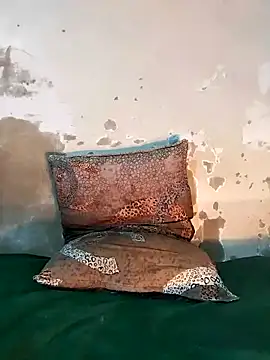 Snapshot of ParousFlow chatting on 12.18.25 ParousFlow online show from 12.18.25