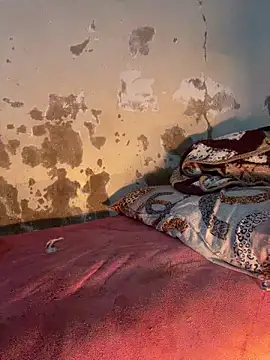 Snapshot of ParousFlow chatting on 03.14.26 ParousFlow online show from 03.14.26