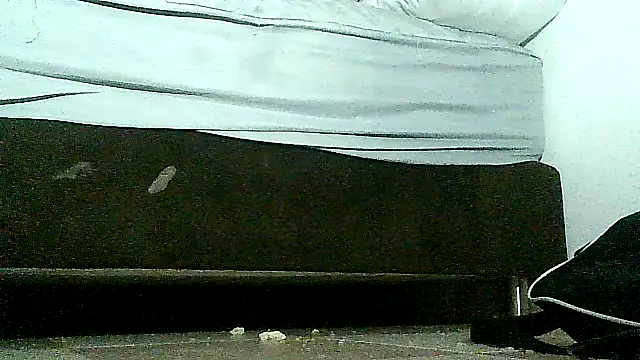 lareinalareinadelanal online show from 11.16.25