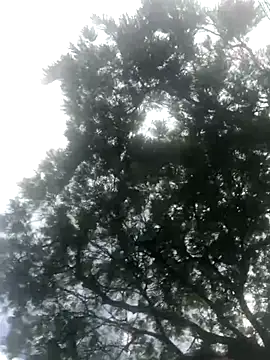 Snapshot of BryanaSmith21 chatting on 09.19.25 BryanaSmith21 online show from 09.19.25