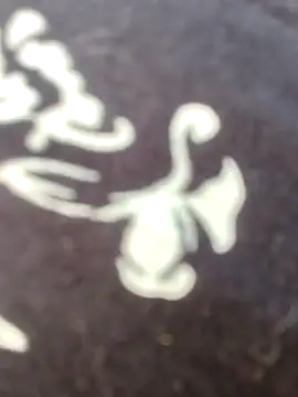 papukurty online show from 02.22.26