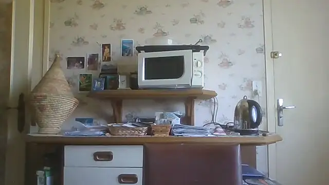 Snapshot of gegevincent chatting on 06.14.26 gegevincent online show from 06.14.26
