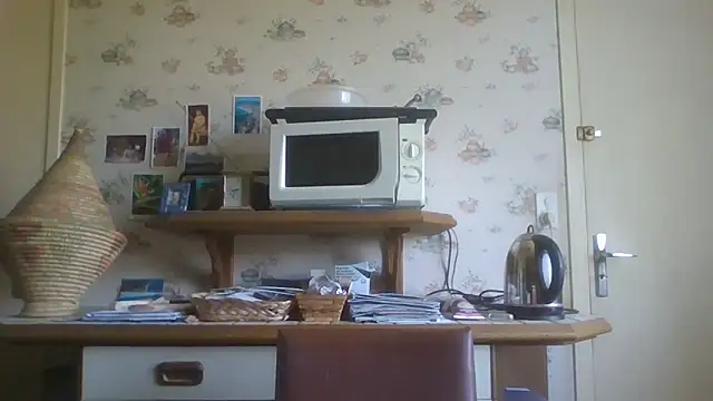 Snapshot of gegevincent chatting on 06.17.26 gegevincent online show from 06.17.26