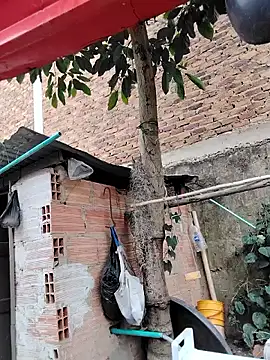 Snapshot of You-sexy-starr chatting on 10.09.25 You-sexy-starr online show from 10.09.25