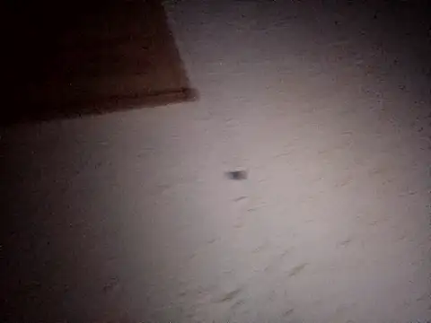 Hottiesophie online show from 04.11.26