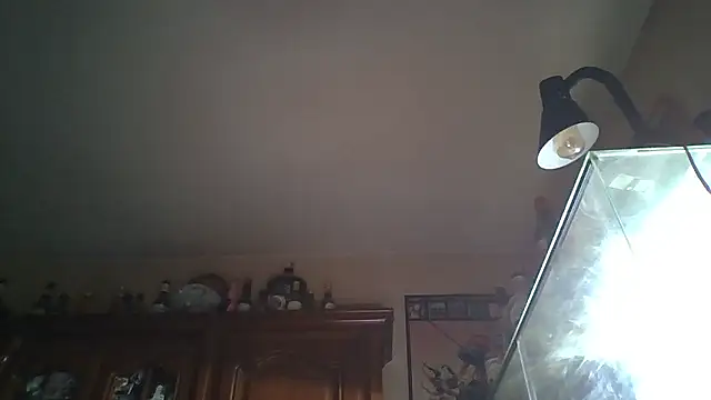 zipman92 online show from 01.05.26