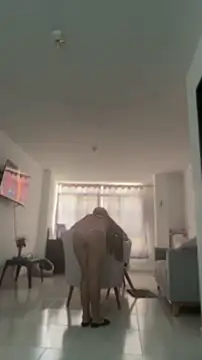 Snapshot of sweet_shadil_ chatting on 05.22.26 sweet shadil online show from 05.22.26