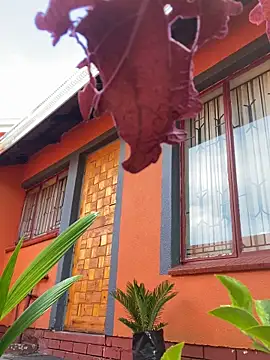 BaggyDirt online show from 02.24.26