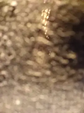 Venessa online show from 12.05.25