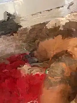 morenaluaa online show from 10.22.25