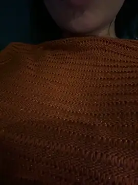 Snapshot of Link_lee chatting on 11.27.25 Link lee online show from 11.27.25