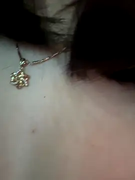 Snapshot of Link_lee chatting on 11.28.25 Link lee online show from 11.28.25