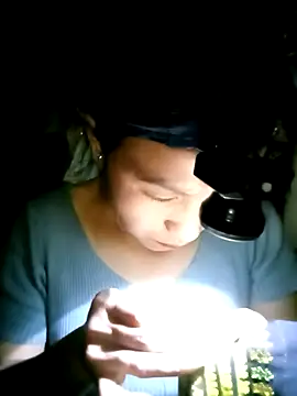 nasy lady online show from 10.12.25