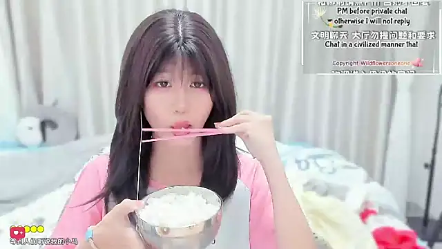 Rabbitlittlefool online show from 03.11.26