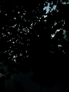 Girls pussy rider online show from 11.24.25