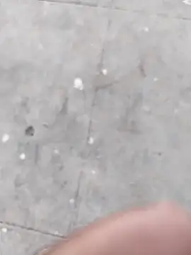 Snapshot of Wet_BunnyFun chatting on 11.05.25 Wet BunnyFun online show from 11.05.25