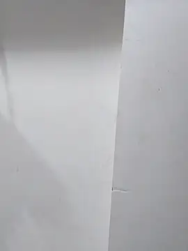 sneha bebo online show from 11.01.25