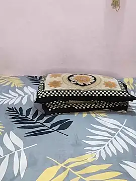 sneha bebo online show from 04.12.26