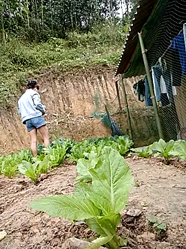 daisy will online show from 01.19.26