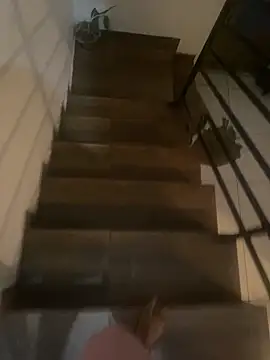 Snapshot of pretalst chatting on 11.19.25 pretalst online show from 11.19.25