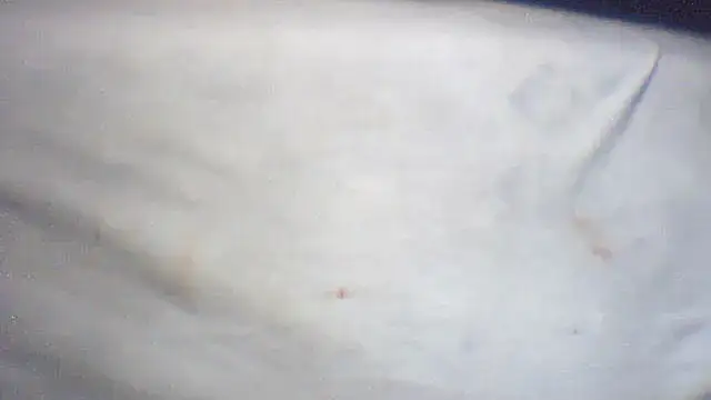 pietje1991 online show from 02.25.26