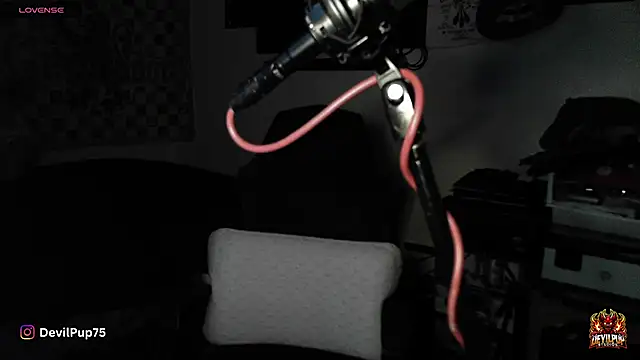 Snapshot of DevilPup75_ chatting on 01.18.26 DevilPup75 online show from 01.18.26