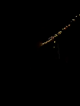 night  wolf online show from 04.10.26