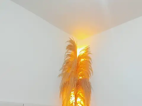 Kieran kian online show from 02.14.26