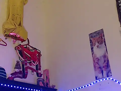 Npga96 online show from 04.17.26