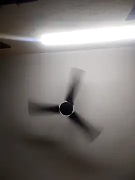 Devi-with-Ram online show from 10.13.25