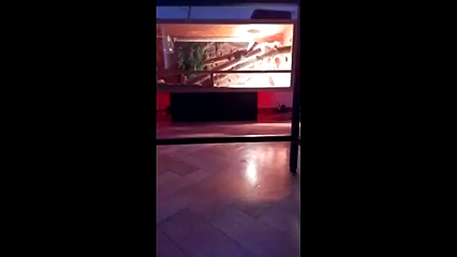 Snapshot of M6I6K6E@xh chatting on 12.04.25 M6I6K6Exh online show from 12.04.25