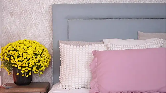 Sofy Bradd online show from 11.08.25