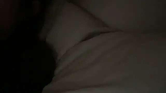 dddasani online show from 01.17.26