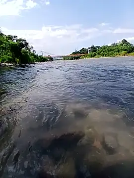 jeltsin3-25 online show from 03.20.26