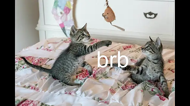 Pink girl0n online show from 09.25.25