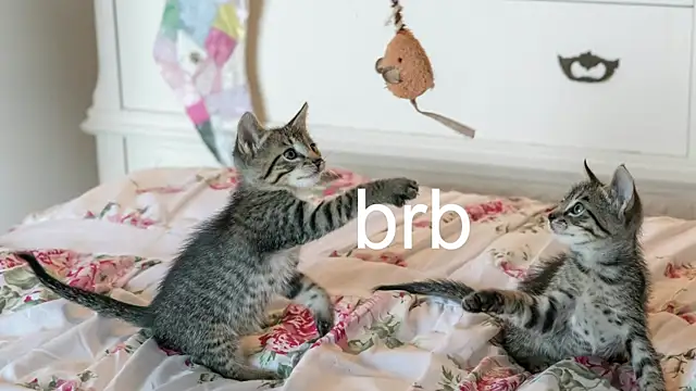 Pink girl0n online show from 11.22.25