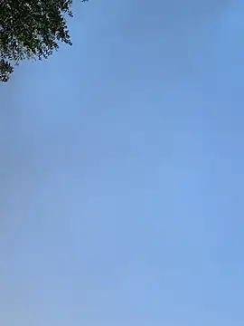 raen001 online show from 11.24.25