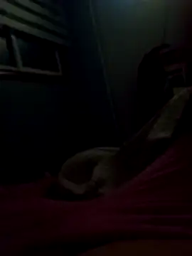 Snapshot of Pillate069 chatting on 03.02.26 Pillate069 online show from 03.02.26