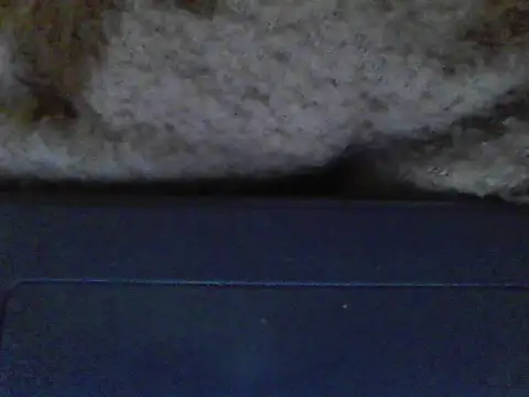 ursdreamperson online show from 12.21.25