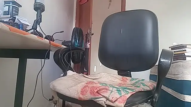 Snapshot of greatbrnrd chatting on 09.24.25 greatbrnrd online show from 09.24.25