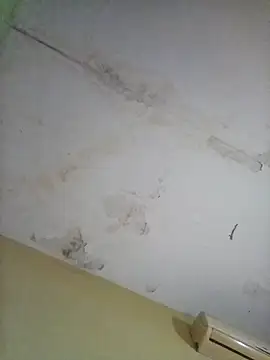 cometa267 online show from 10.14.25