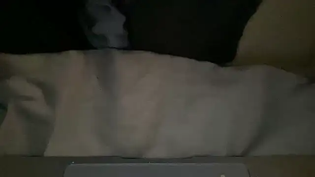 peterpapiNL online show from 03.04.26