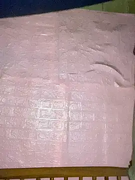 Snapshot of Julia-Elsa chatting on 10.16.25 Julia-Elsa online show from 10.16.25